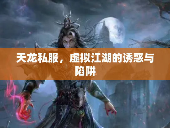 天龙私服，虚拟江湖的诱惑与陷阱