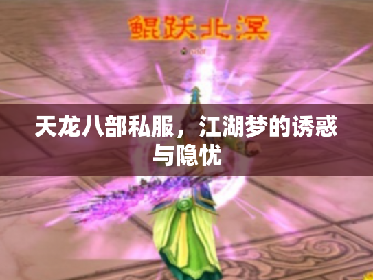 天龙八部私服，江湖梦的诱惑与隐忧