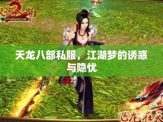 天龙八部私服，江湖梦的诱惑与隐忧