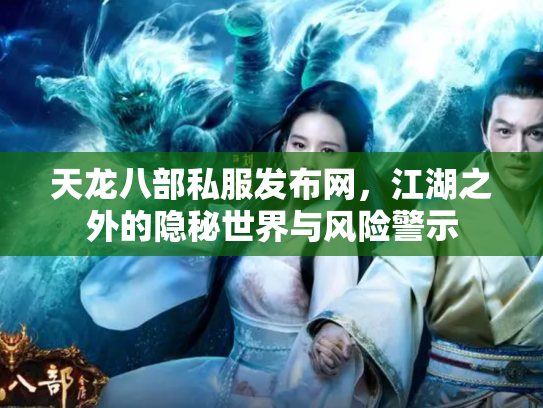 天龙八部私服发布网，江湖之外的隐秘世界与风险警示