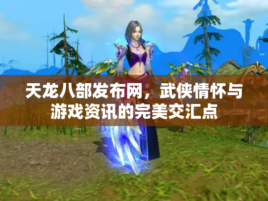 天龙八部发布网，武侠情怀与游戏资讯的完美交汇点
