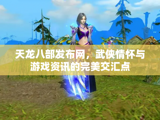 天龙八部发布网，武侠情怀与游戏资讯的完美交汇点