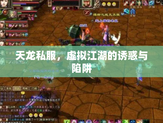 天龙私服，虚拟江湖的诱惑与陷阱