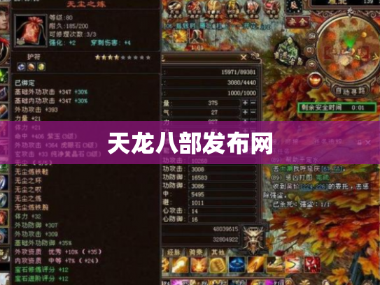 天龙八部发布网