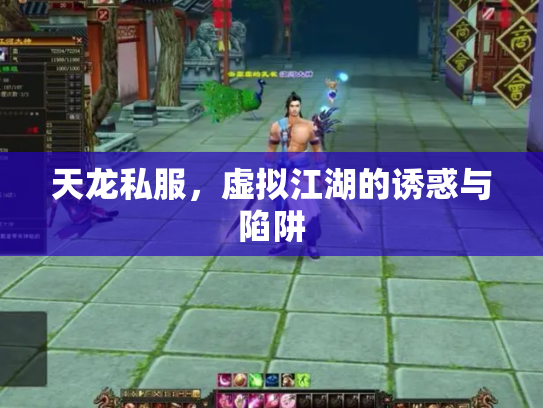 天龙私服，虚拟江湖的诱惑与陷阱