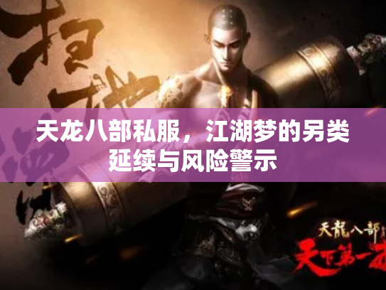 天龙八部私服，江湖梦的另类延续与风险警示