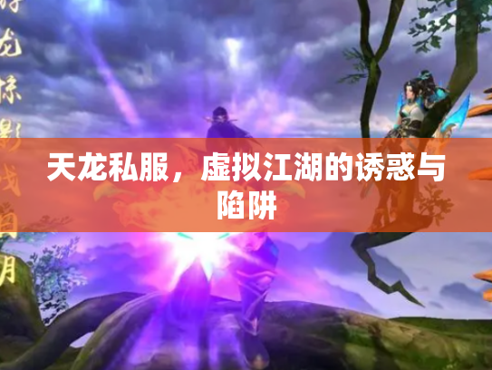 天龙私服，虚拟江湖的诱惑与陷阱