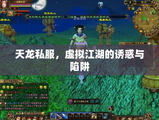 天龙私服，虚拟江湖的诱惑与陷阱