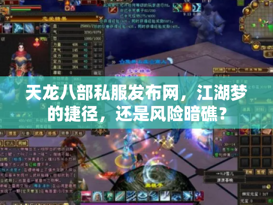 天龙八部私服发布网，江湖梦的捷径，还是风险暗礁？