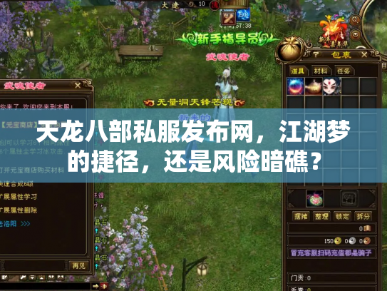 天龙八部私服发布网，江湖梦的捷径，还是风险暗礁？