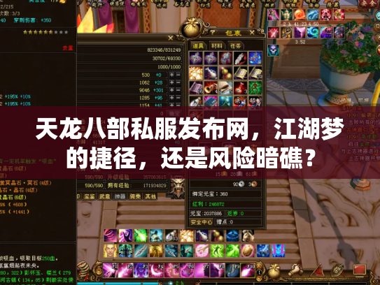 天龙八部私服发布网，江湖梦的捷径，还是风险暗礁？