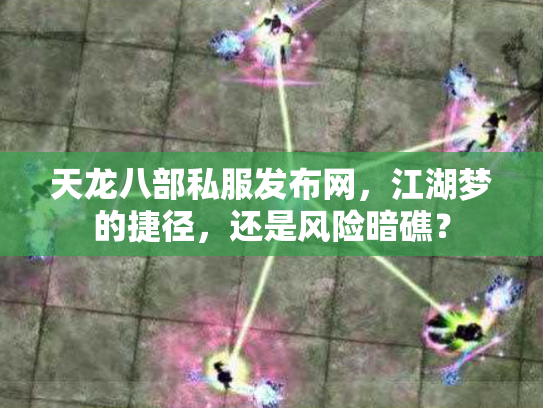 天龙八部私服发布网，江湖梦的捷径，还是风险暗礁？