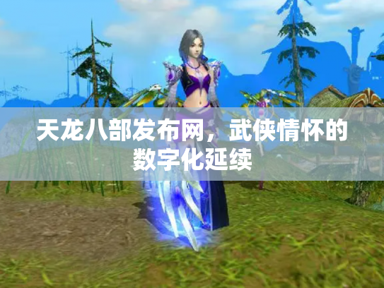 天龙八部发布网，武侠情怀的数字化延续