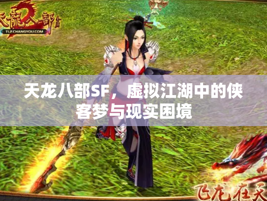 天龙八部SF，虚拟江湖中的侠客梦与现实困境