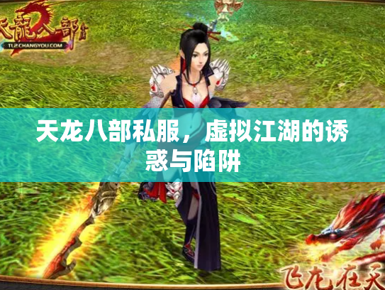 天龙八部私服，虚拟江湖的诱惑与陷阱
