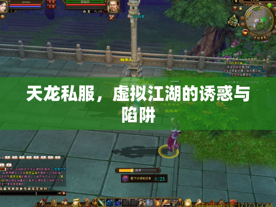 天龙私服，虚拟江湖的诱惑与陷阱