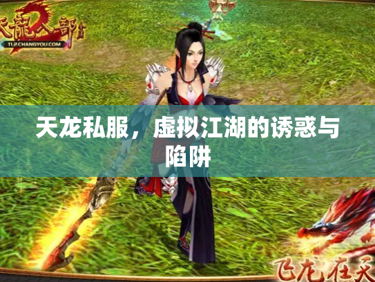 天龙私服，虚拟江湖的诱惑与陷阱