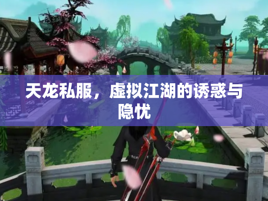 天龙私服，虚拟江湖的诱惑与隐忧