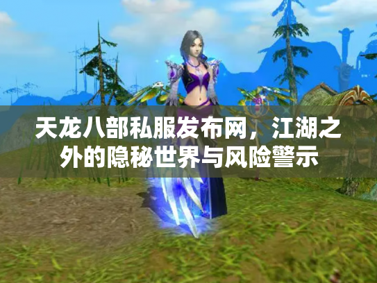 天龙八部私服发布网，江湖之外的隐秘世界与风险警示