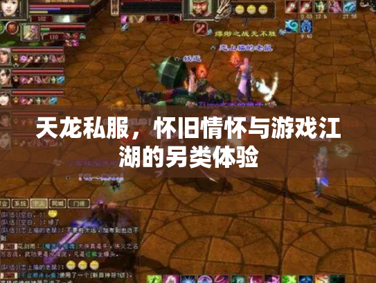 天龙私服，怀旧情怀与游戏江湖的另类体验