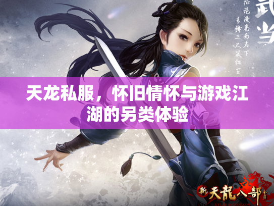 天龙私服，怀旧情怀与游戏江湖的另类体验