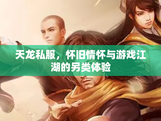 天龙私服，怀旧情怀与游戏江湖的另类体验