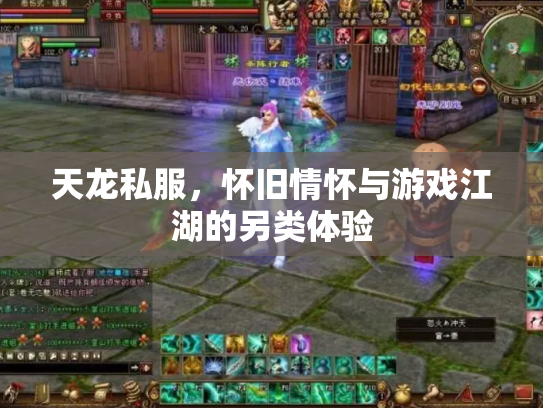 天龙私服，怀旧情怀与游戏江湖的另类体验