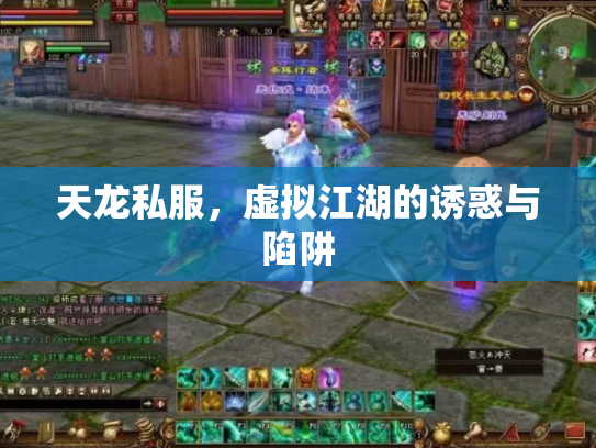 天龙私服，虚拟江湖的诱惑与陷阱