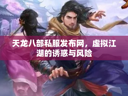 天龙八部私服发布网，虚拟江湖的诱惑与风险