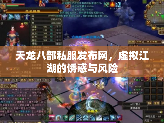 天龙八部私服发布网，虚拟江湖的诱惑与风险