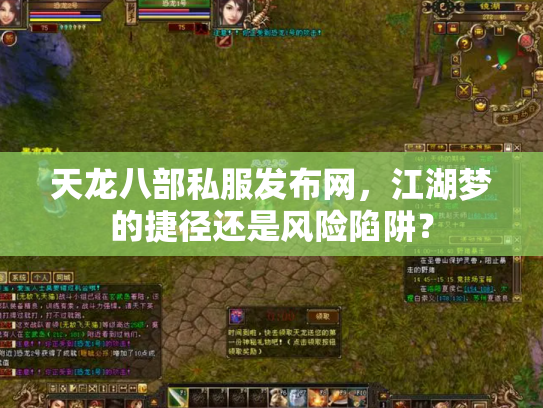 天龙八部私服发布网，江湖梦的捷径还是风险陷阱？