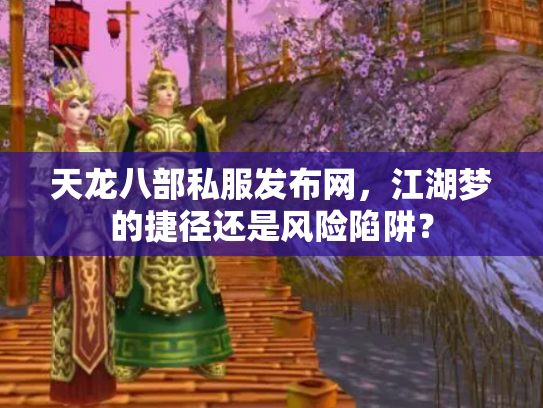 天龙八部私服发布网，江湖梦的捷径还是风险陷阱？