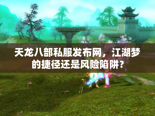天龙八部私服发布网，江湖梦的捷径还是风险陷阱？