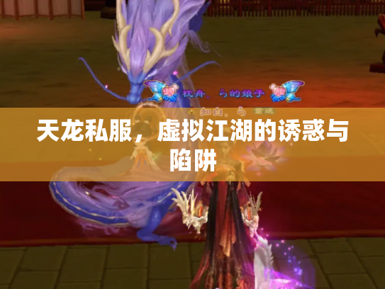 天龙私服，虚拟江湖的诱惑与陷阱
