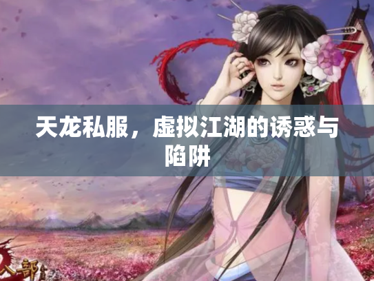 天龙私服，虚拟江湖的诱惑与陷阱