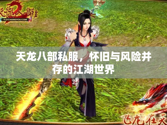 天龙八部私服，怀旧与风险并存的江湖世界