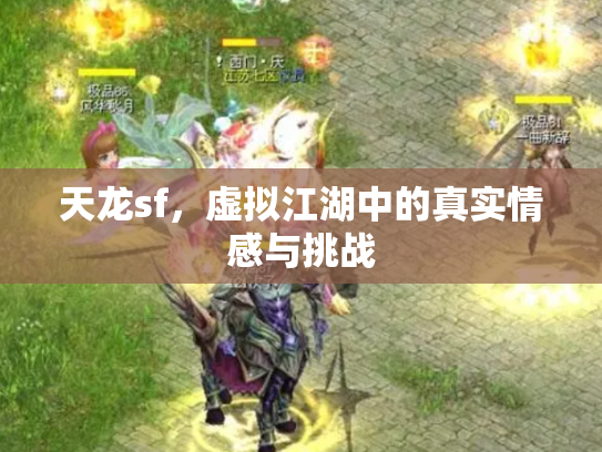 天龙sf，虚拟江湖中的真实情感与挑战