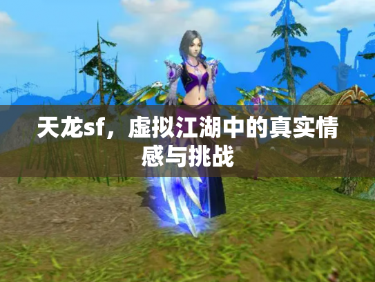 天龙sf，虚拟江湖中的真实情感与挑战