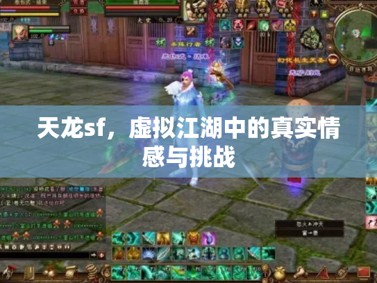 天龙sf，虚拟江湖中的真实情感与挑战