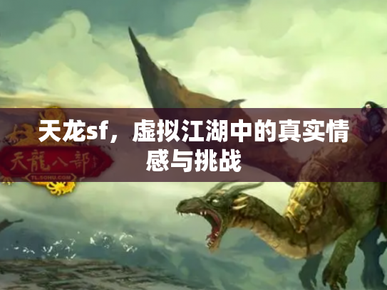 天龙sf，虚拟江湖中的真实情感与挑战
