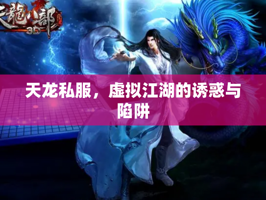 天龙私服，虚拟江湖的诱惑与陷阱