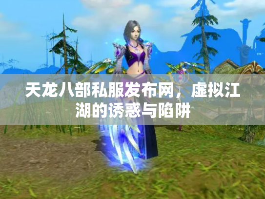 天龙八部私服发布网，虚拟江湖的诱惑与陷阱