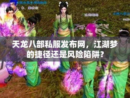 天龙八部私服发布网，江湖梦的捷径还是风险陷阱？