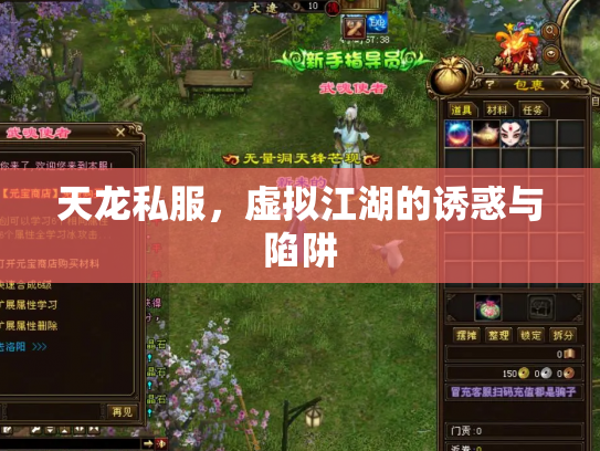 天龙私服，虚拟江湖的诱惑与陷阱
