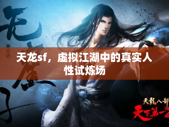 天龙sf，虚拟江湖中的真实人性试炼场
