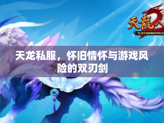 天龙私服，怀旧情怀与游戏风险的双刃剑