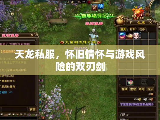 天龙私服，怀旧情怀与游戏风险的双刃剑