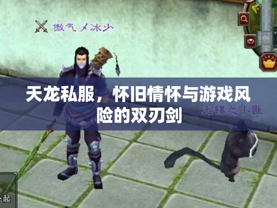 天龙私服，怀旧情怀与游戏风险的双刃剑