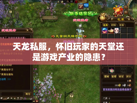 天龙私服，怀旧玩家的天堂还是游戏产业的隐患？