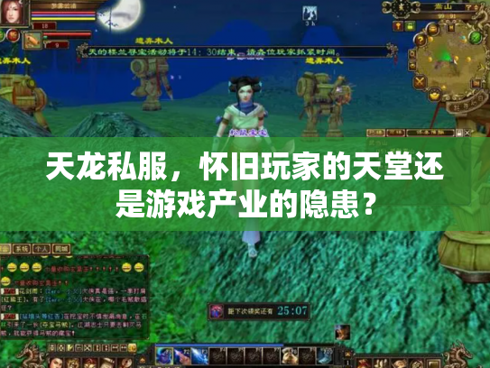 天龙私服，怀旧玩家的天堂还是游戏产业的隐患？